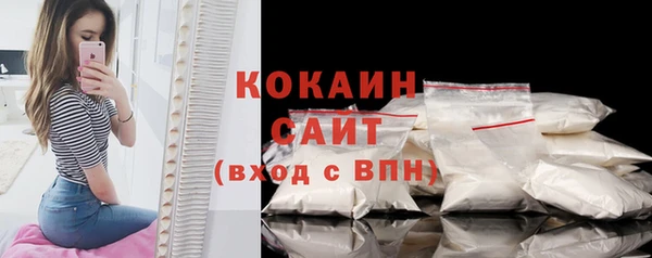 гашик Вязьма