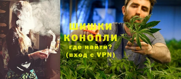 гашик Вязьма