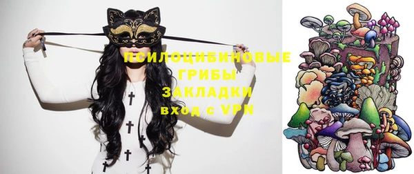 гашик Вязьма